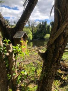 Cats Cabin by the River