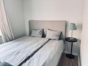 Spacious flat for large group