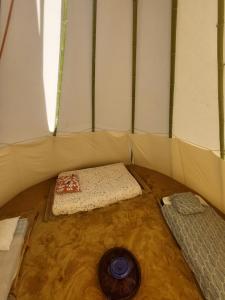 Tipi en pleine nature