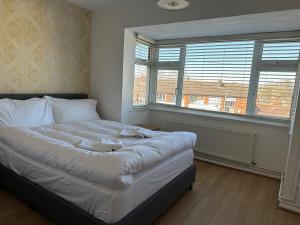 Place to stay up Ipswich near the train station, football stadium, waterfront