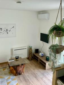 Appartements Le patio, T2 en centre ville : photos des chambres