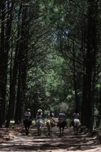 La Ensenada Beach-Hostel