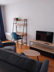 FORUM 134, 36 m2 en plein centre ville - 里摩日