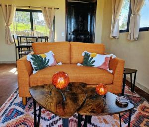 Gorgeous fully equipped Casita