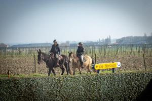 Vakantiehuis De Horizon