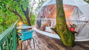 Tierra nueva glamping cr