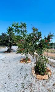 Vothonas house in the countryside