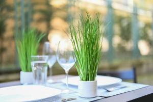 Romance Studio-steps from theSea