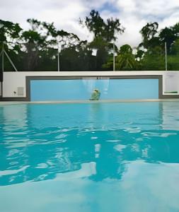 Bayahibe Rose C - Gray Elegance