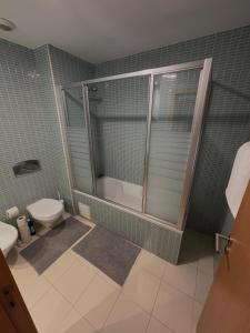 Modern luxury apartment with pool and ocean view