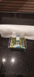 The Palace Flat Moema 1210