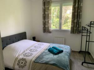Maisons de vacances Au bord du ruisseau - Campan : photos des chambres