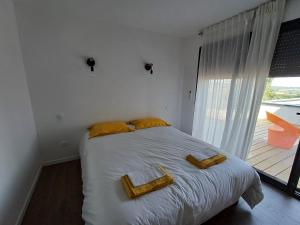 L ancienne vigne by hd - Gîte & Spa