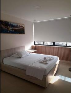 Hotel Tonchala Centro