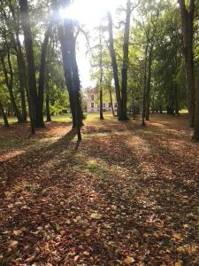 B&B / Chambres d'hotes Chateau des Closeaux : photos des chambres