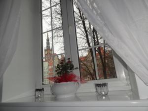 Old Town Apartment