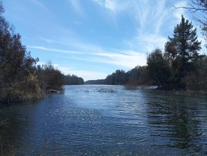 Acogedor Apartamento Familiar con Piscina y Parking PUCV Curauma