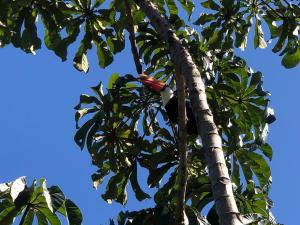 Vila do Lago Residence