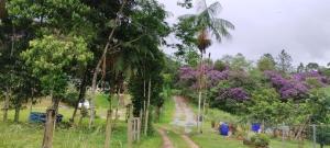 Recanto Fitoterápias