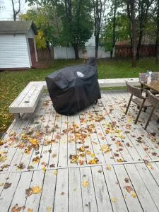 Main Floor of a House - Holyrood