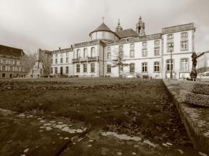 Appartement spacieux à Lunéville, proche des attractions - FR-1-584-366