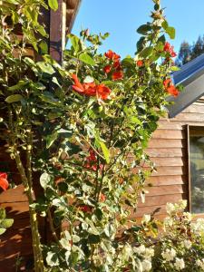 House on golf in Arelauquen Bariloche