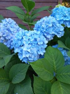 House on golf in Arelauquen Bariloche