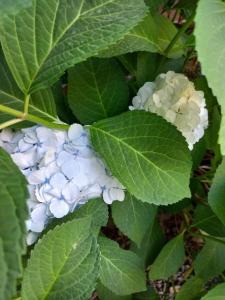 House on golf in Arelauquen Bariloche