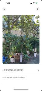 마당이 넓은 Oak Tree House