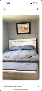 마당이 넓은 Oak Tree House