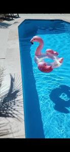 Casa Blanca-Lake side with pool