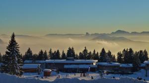 Complexes hoteliers Residences Les Villages du Bachat (by Popinns) : photos des chambres