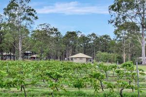 Pokolbin Glamping - Sleeps 2. Eco-Friendly Single Glamping Tents