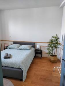 Appartements Le Spacieux Lumineux-25 min de Strasbourg-WiFi-Tv : photos des chambres