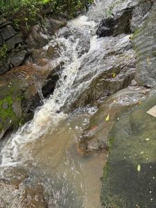 Agasthya Private Pool & Park villa