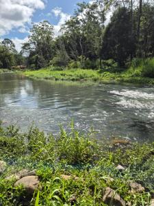 RESET Tallebudgera Valley