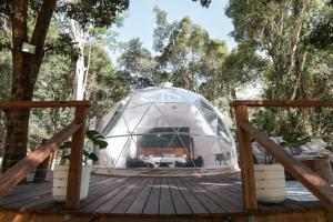 RESET Tallebudgera Valley