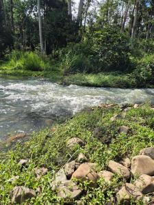 RESET Tallebudgera Valley