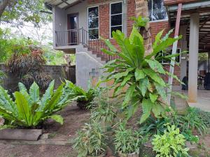 Dambullawatha Bungalow Garden Villa
