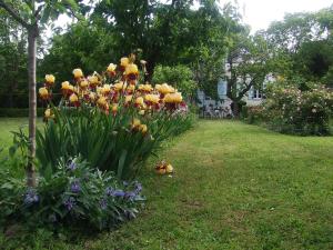 B&B / Chambres d'hotes Villa Lea : photos des chambres