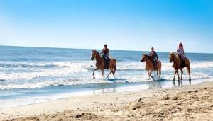 Casa vacanze La Cinta img32