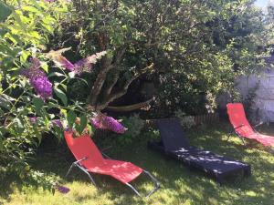 Appartements L'Escale - Maison avec Jardin - 4min du Zoo de Beauval : photos des chambres