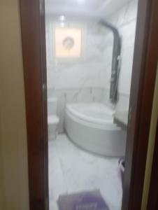 شقه على النيل