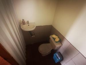 Cabaña Mono Cariblanco