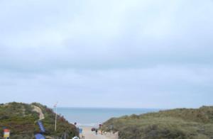 Cozy, delicious and bright