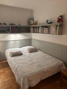 Appartements Vue Mont Blanc et toute la chaine : photos des chambres