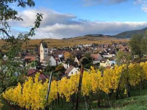 Appartements Gite Au Nid de Cigognes : photos des chambres