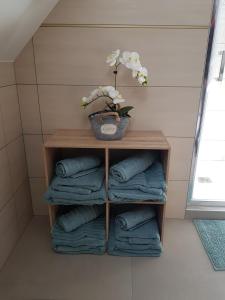 Appartements Gite Au Nid de Cigognes : photos des chambres