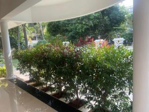 Pinkys Villa