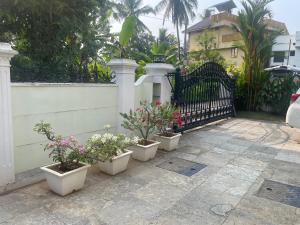 Pinkys Villa